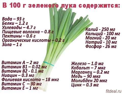 Користь і шкода зеленого лука для здоров'я, калорійність, вітаміни