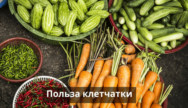 Користь і шкода клітковини, в яких продуктах міститься, відгуки