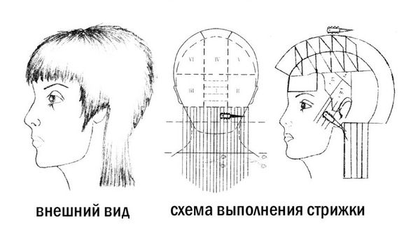 гаврош схема