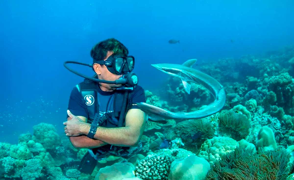 Снорклинг на Мальдивах: изучение подводного мира