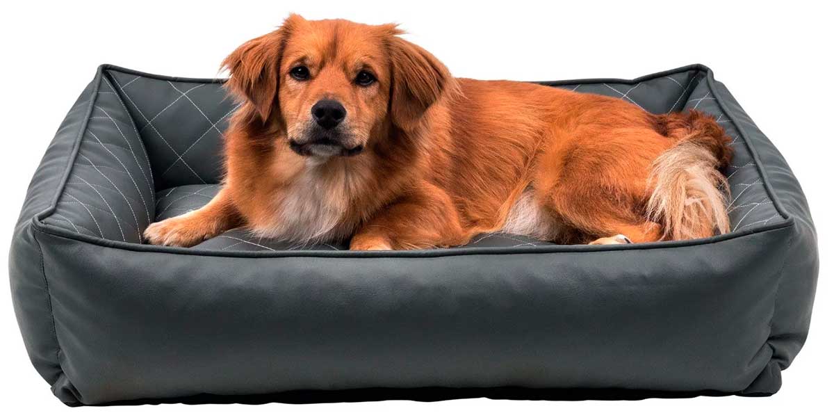 Лежак для собаки с бортиками