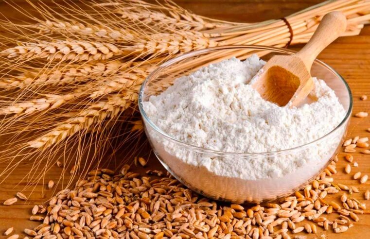 Польза и вред пшеничной муки