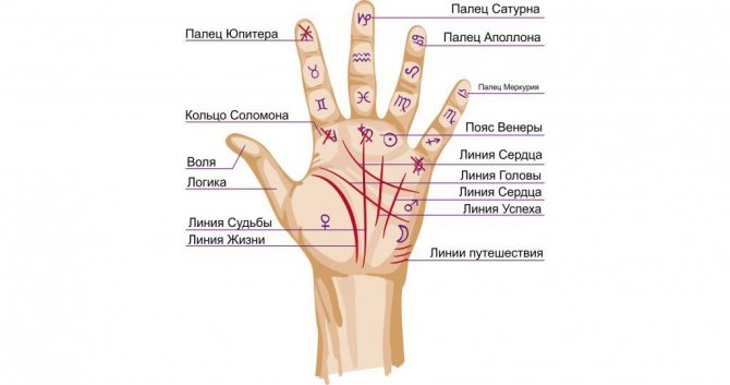 Hresti Na Ruci Yih Opis Ta Znachennya V Hiromantiyi