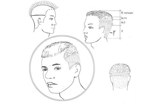 кроп схема стрижки