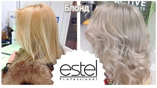 Палітра фарб Estel Professional.  Каталог, розкладка, номера відтінків з назвою.  Естель професійний для сивого, брюнеток, блондинок