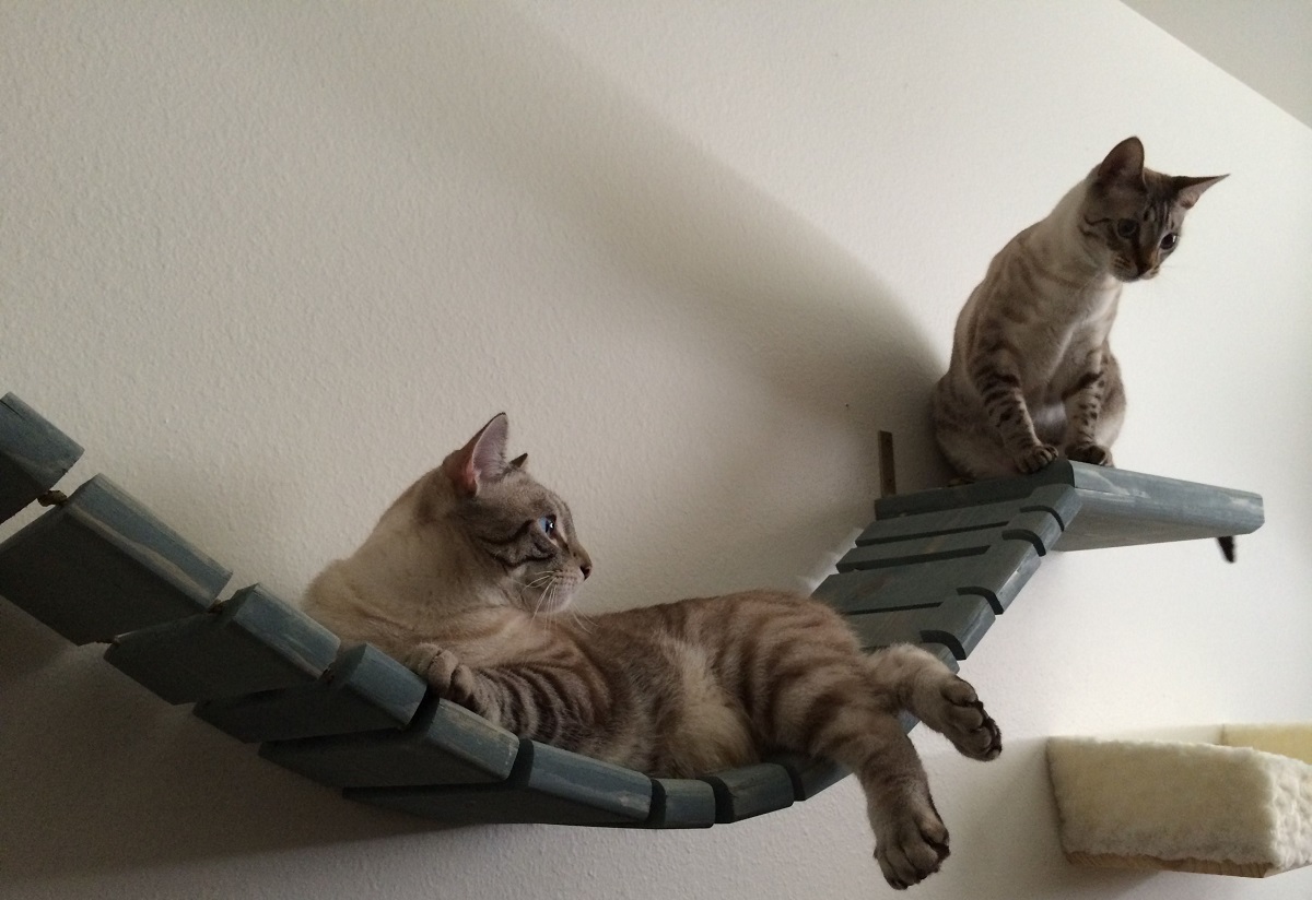 лежаки для кошек