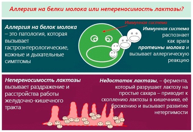 Селенцін для волосся: шампунь, таблетки, спрей, маска, лосьйон, вітаміни.  Склад, інструкція із застосування